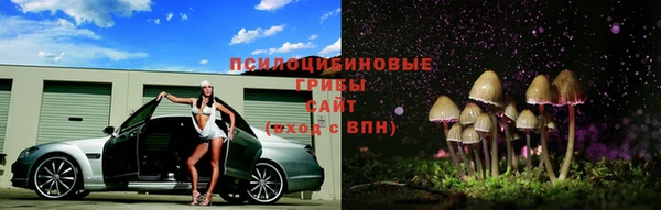 гидропоника Беломорск