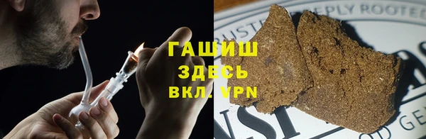 гидра Белокуриха