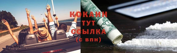 гидра Белокуриха