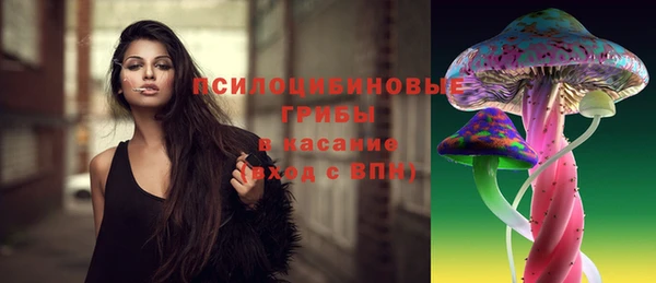 гидра Белокуриха