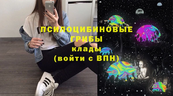 гидра Белокуриха